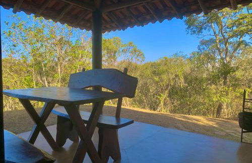 August de Saint Hilaire/ Reserva Alto da Colina - Photo 9