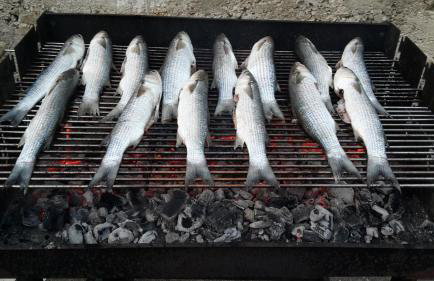 Villa Lasta - Photo 34