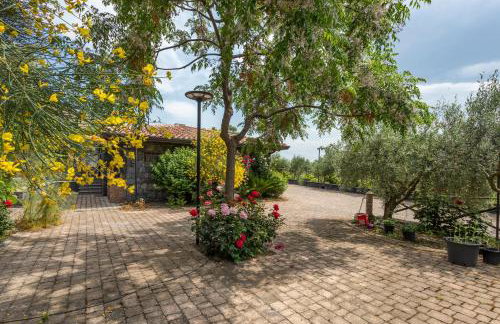Casetta delle Rose sull'etna - Foto 20