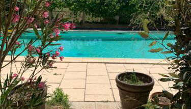 Douceur de Vignes - Foto 2