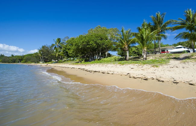 Beached on Magnetic - Photo 22