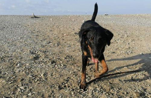 Appartamento - IRIS - Vallecrosia - Photo 43