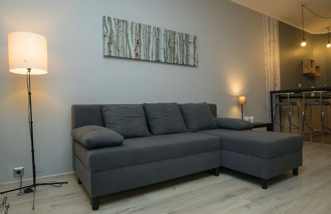 Apartamenty Sedinum - Foto 58