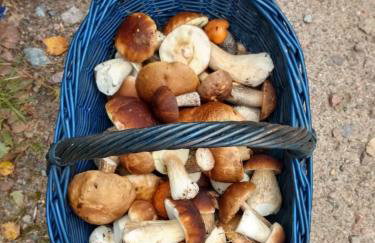 Domek u Janiny - Foto 28