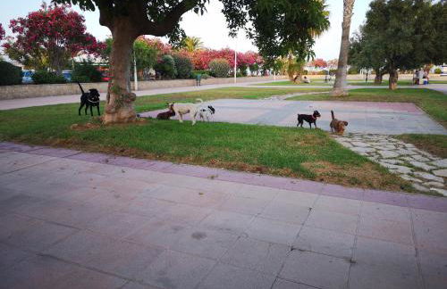 Tout près de la plage - Foto 40