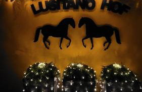 Ferienhaus auf dem Lusitanohof Jäger - Foto 6