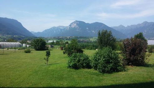 Casa Vacanze Hartriegel - Foto 5, Garden, Garden view