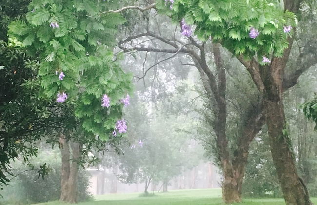 Brookfield Retreat - Foto 41