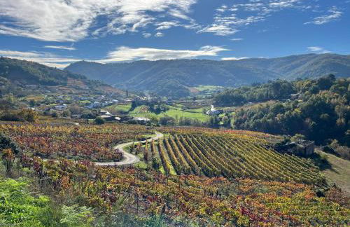 Casa Catalina - Ribeira Sacra - Foto 20