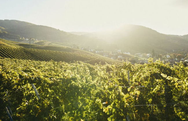 Oma Ludwin 2 Comfortable Holiday Residence - Foto 15