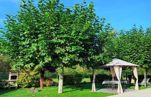 Casa El Molín 3 Soto de Dueñas VV-3030-AS - Foto 5