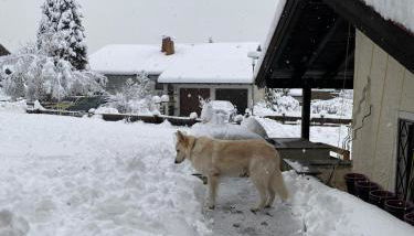 Sonnenhang Bayern - Photo 5