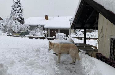 Sonnenhang Bayern - Photo 5