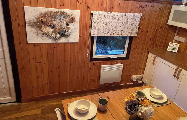 11 Tan-y-coed Woodland Lodge - Foto 18