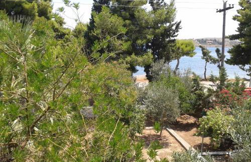 Elea Guesthouse - Photo 61