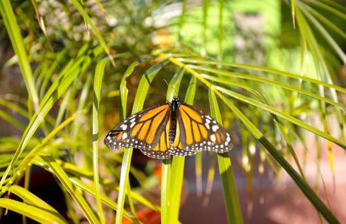 Villa Paraiso Aldeano 2 - Foto 19