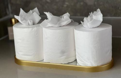 Luxurious studio next to Confeitaria Colombo - Foto 23