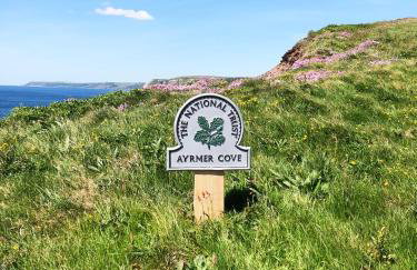Cosy Beachside Cottage 100m from Challaborough Beach - Foto 33