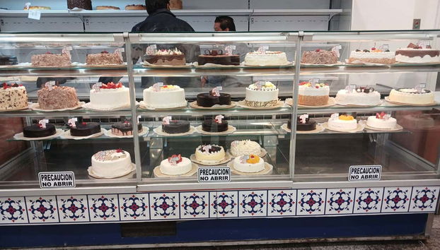 Basilica of Our Lady of Guadalupe Day Trip - Foto 3