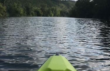 Le Noyer sur Lot - Foto 11