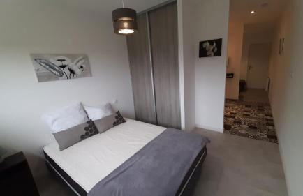 gite des mariés à 7mn du puy du F0U - Photo 30