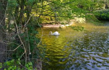 Appartement François 1er - Foto 12