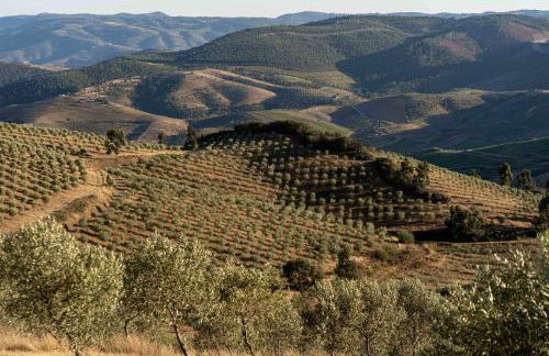 Acushla Original House Douro - Foto 18