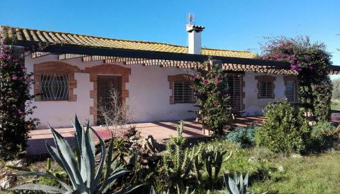 Masia en el Delta del Ebro - Foto 2, Garden