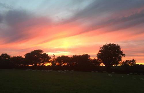 Holsworthy Holiday Cottages - Foto 10