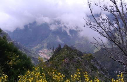 Ape Esquerdo - Foto 21