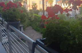 Holiday Home Varese - Foto 41