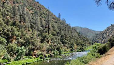 Villa Alta Vista at Yosemite- Stunning Views and Game Room - Foto 3