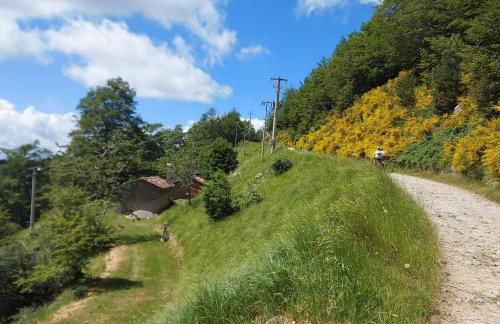 Da Castruccio degli Antelminelli - Foto 39