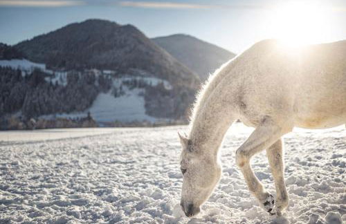 Chalet PURMONTES - Foto 23