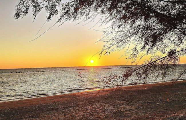 Apollonia Holiday Apartments - Foto 26