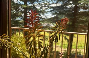 Domek Golasówka - Foto 13