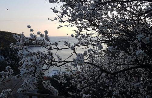 Apartment Kristić - Saplunara, Mljet - Photo 27