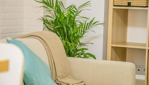 LOFT GARRUCHA CENTER - Foto 1