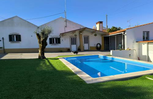 Fatima Villas - Foto 16