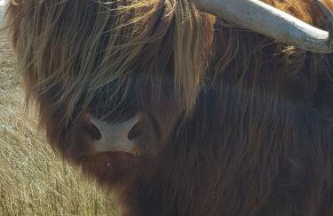 Pleasant Point Holiday Cottages - Foto 137