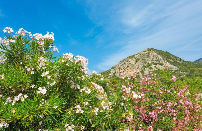 Villa Peach Large Private Pool Walk to Beach Sea Views A C Wifi Car Not Required - 2181 - Foto 34