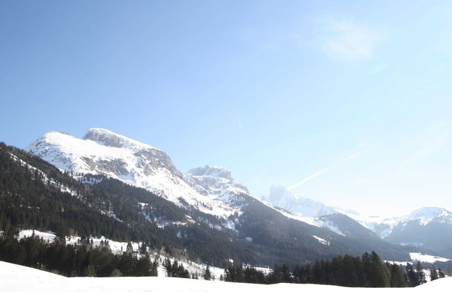 Apartment in Annaberg Near Dachstein Ski - Foto 24