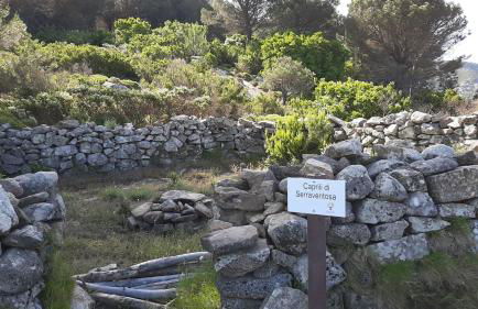 Casa vacanze il Pastore Tedesco - Foto 40