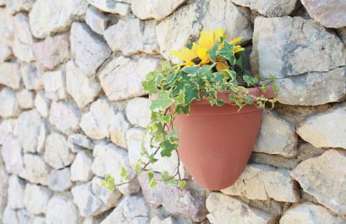 Apartments Sersic - Photo 43