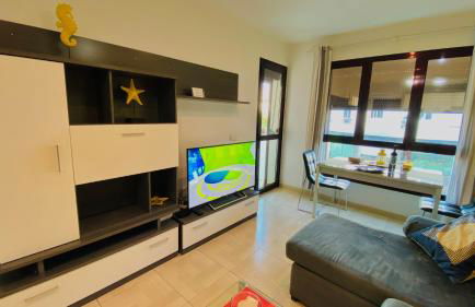 SUNNY DAY 3 - Foto 13