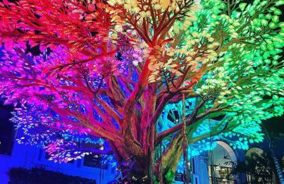 Wellington Garden - Foto 48