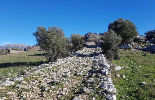 Ubrique Loft Rural - Foto 21