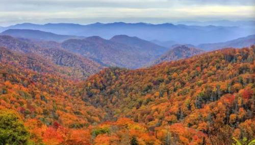 Peaceful Smoky Treehouse| Hot Tub • Hammock • Deck - Foto 3, Other