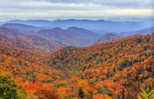 Peaceful Smoky Treehouse| Hot Tub • Hammock • Deck - Foto 3