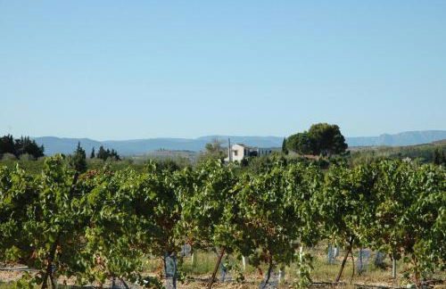 Le Petit Viala - Foto 24